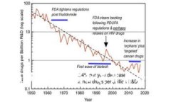 什么是Tokenim假USDT？揭秘其背后的风险与防范措施