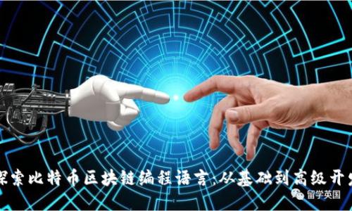 深入探索比特币区块链编程语言：从基础到高级开发技巧