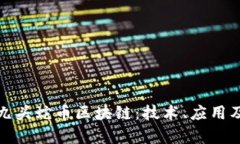 全面解析九头蛇币区块链：技术、应用及未来趋