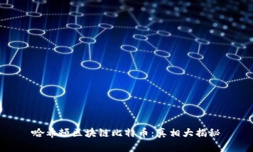 哈希顿区块链比特币：真相大揭秘