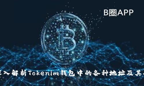 : 深入解析Tokenim钱包中的各种地址及其功能