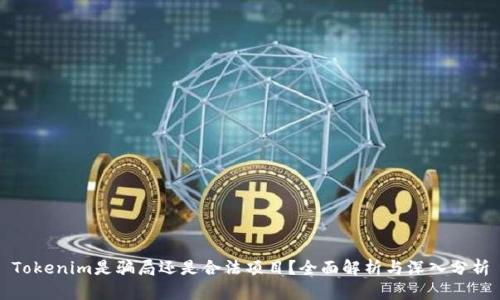 Tokenim是骗局还是合法项目?全面解析与深入分析