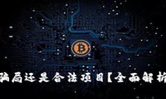 Tokenim是骗局还是合法项目？全面解析与深入分析