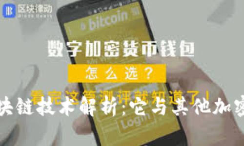 维卡币的区块链技术解析:它与其他加密货币的比较