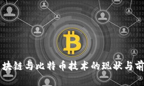 美国区块链与比特币技术的现状与前景分析