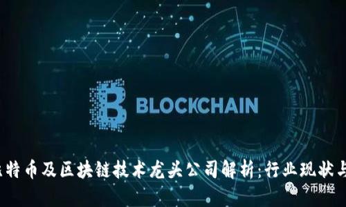 2023年比特币及区块链技术龙头公司解析：行业现状与未来发展