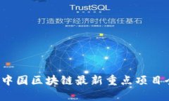 2023年中国区块链最新重点项目全面分析