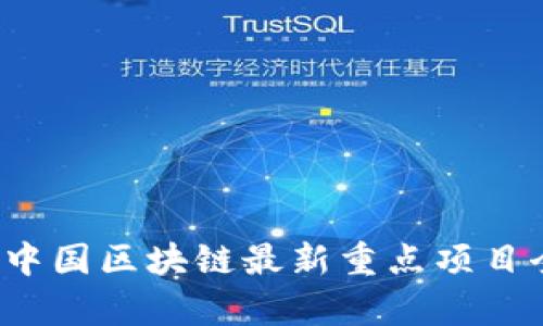 2023年中国区块链最新重点项目全面分析
