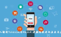 深入解析Tokenim与MeshX：区块链技术的未来与应用