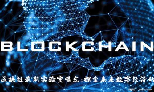 韩国区块链最新实验室曝光:探索未来数字经济的前沿