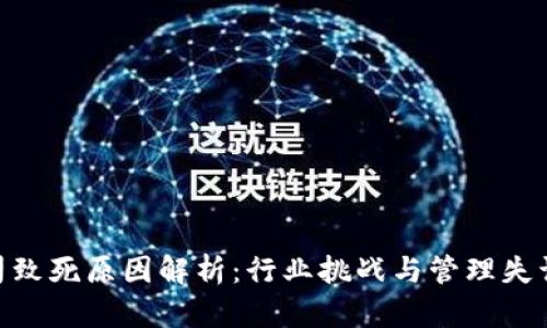 Tokenim公司致死原因解析:行业挑战与管理失误的深度剖析