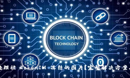 如何处理被 TokenIM 冻结的图片?完整解决方案与建议