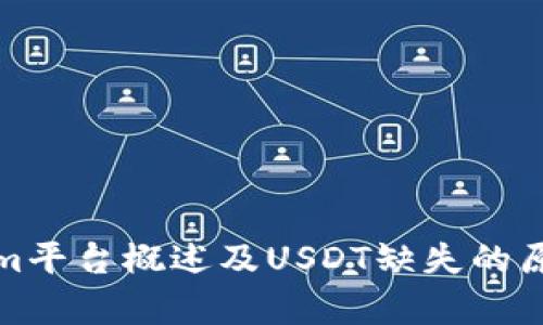 Tokenim平台概述及USDT缺失的原因解析