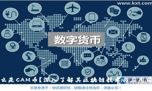 什么是CAM币?深入了解其区块链技术与应用前景