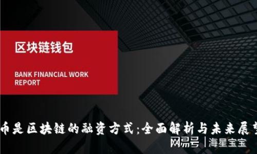 币是区块链的融资方式:全面解析与未来展望
