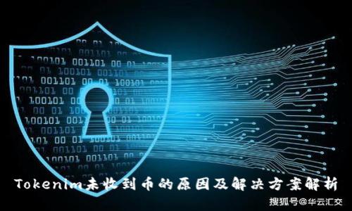 Tokenim未收到币的原因及解决方案解析