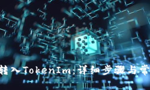 如何将ASS转入TokenIm:详细步骤与常见问题解答