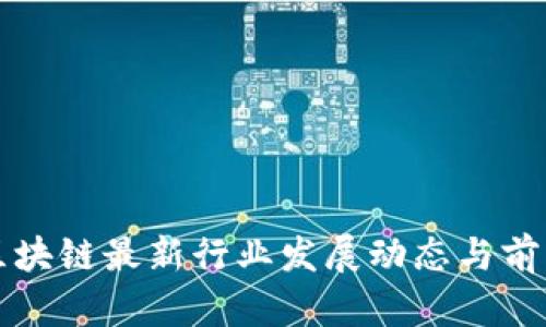 海南区块链最新行业发展动态与前景分析
