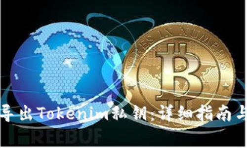 如何安全导出Tokenim私钥：详细指南与注意事项