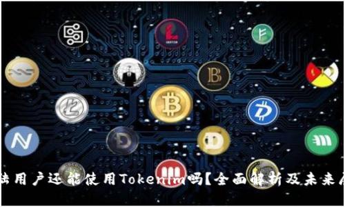 大陆用户还能使用Tokenim吗?全面解析及未来展望