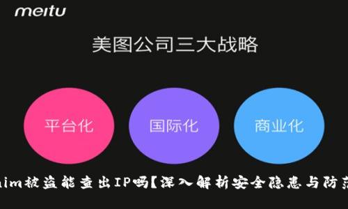 Tokenim被盗能查出IP吗?深入解析安全隐患与防范措施