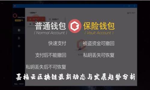 嘉楠云区块链最新动态与发展趋势分析