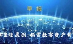 区块链最新诈骗案进展图：揭露数字资产背后的