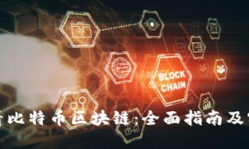 如何查看比特币区块链:全面指南及实用工具