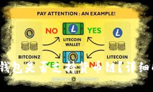 Tokentokenim钱包是否支持货币链?详细解析与功能介绍