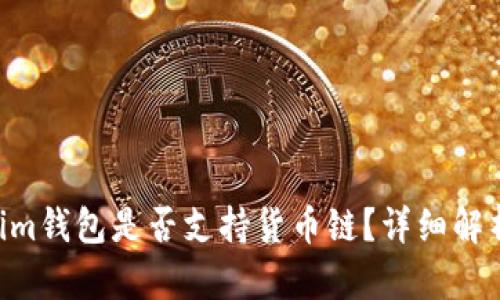 Tokentokenim钱包是否支持货币链?详细解析与功能介绍