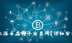 区块链上海币在哪个交易所？详细分析与指南
