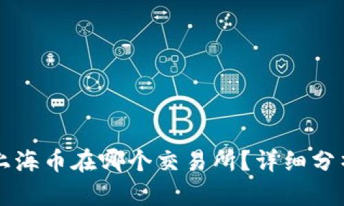 区块链上海币在哪个交易所?详细分析与指南