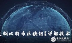 如何复制比特币区块链？详解技术与实践
