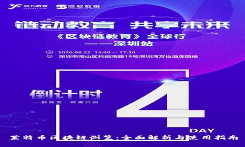 莱特币区块链浏览：全面解析与使用指南