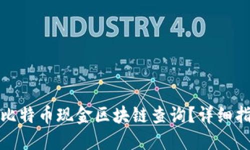 如何进行比特币现金区块链查询？详细指南与技巧