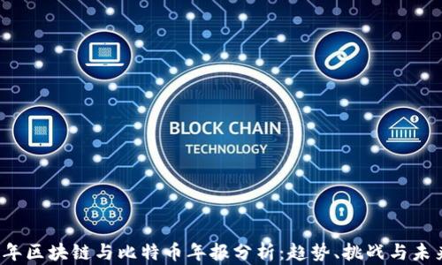 
2023年区块链与比特币年报分析：趋势、挑战与未来展望
