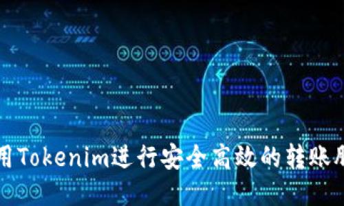 如何使用Tokenim进行安全高效的转账脚本编写
