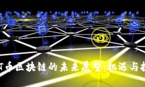 DOT币区块链的未来展望:机遇与挑战