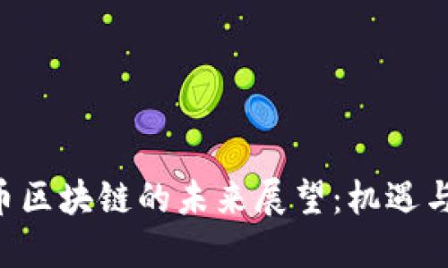 DOT币区块链的未来展望:机遇与挑战