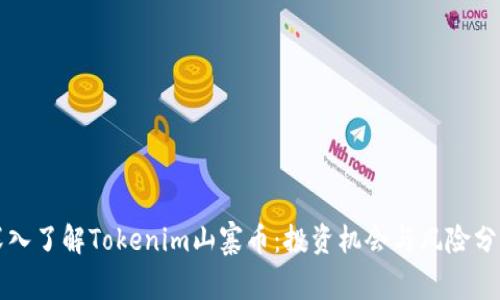 深入了解Tokenim山寨币:投资机会与风险分析