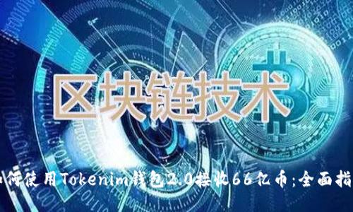 如何使用Tokenim钱包2.0接收66亿币:全面指南