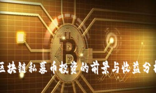 区块链私募币投资的前景与收益分析