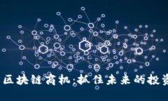 2023年最新区块链商机：抓住未来的投资与发展趋
