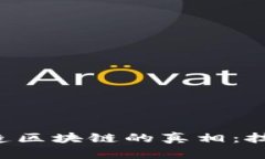 揭开比特币伪造区块链的真相：技术、风险与防