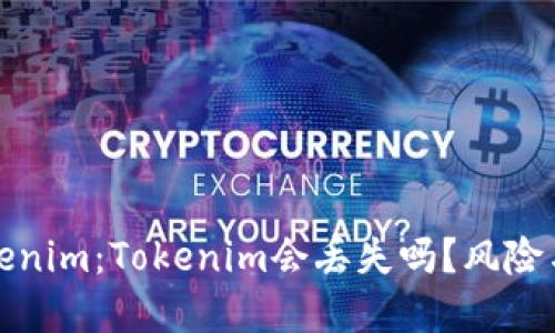 : 解密Tokenim:Tokenim会丢失吗?风险与管理指南