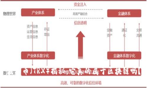 波场币(TRX)揭秘:它真的属于区块链吗?