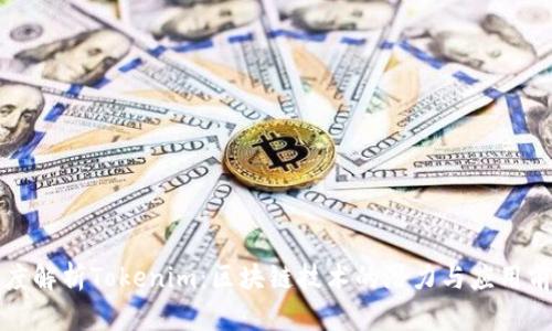 深度解析Tokenim：区块链技术的潜力与应用前景