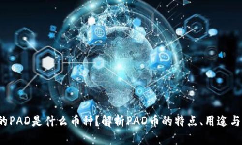 区块链的PAD是什么币种?解析PAD币的特点、用途与未来发展