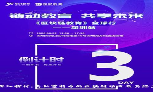 深入探讨：类似霍特币的区块链项目及其潜力