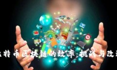 探索比特币区块链的效率：挑战与改进方案